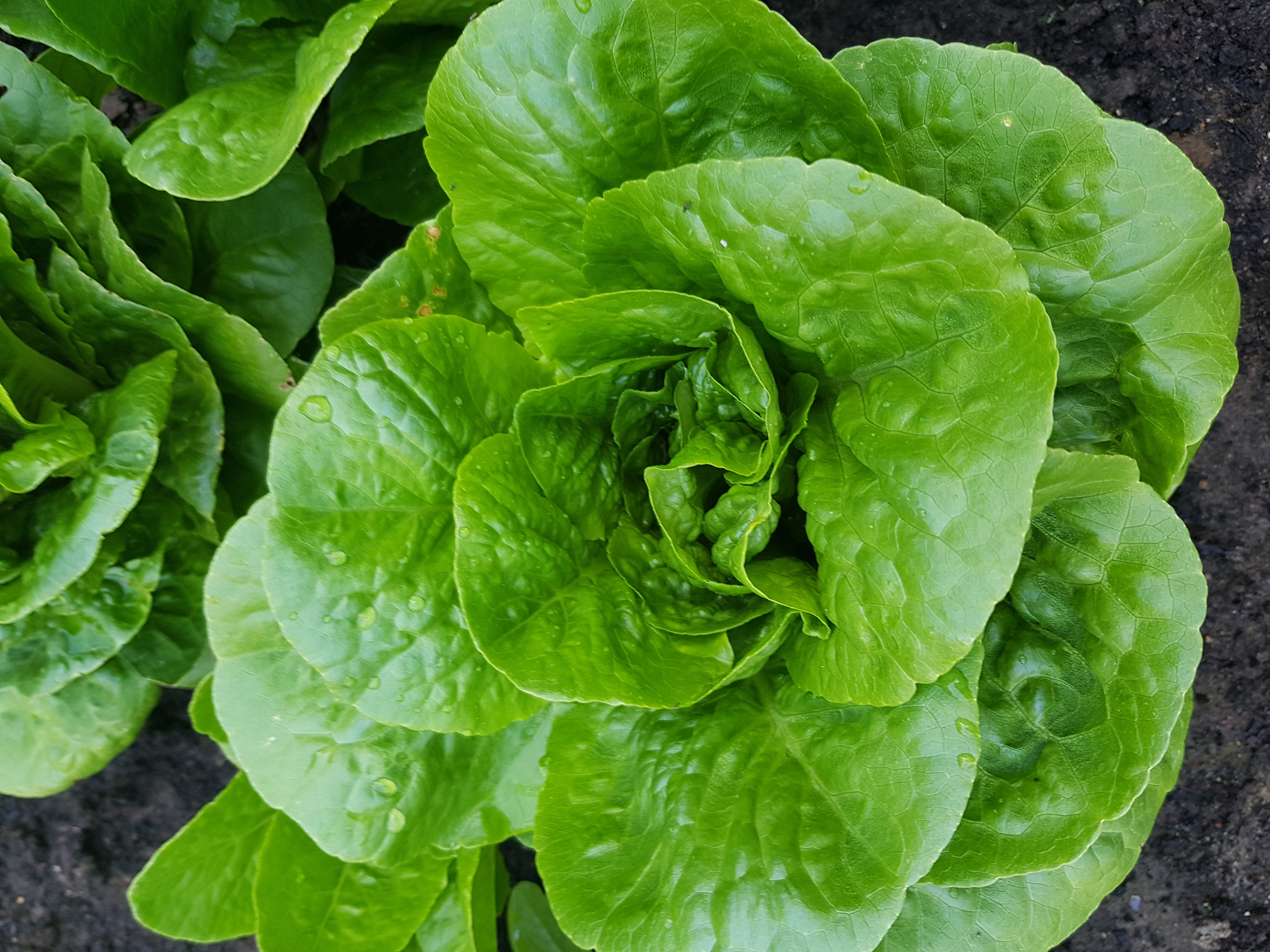 Feeling relaxed and productive at the same time