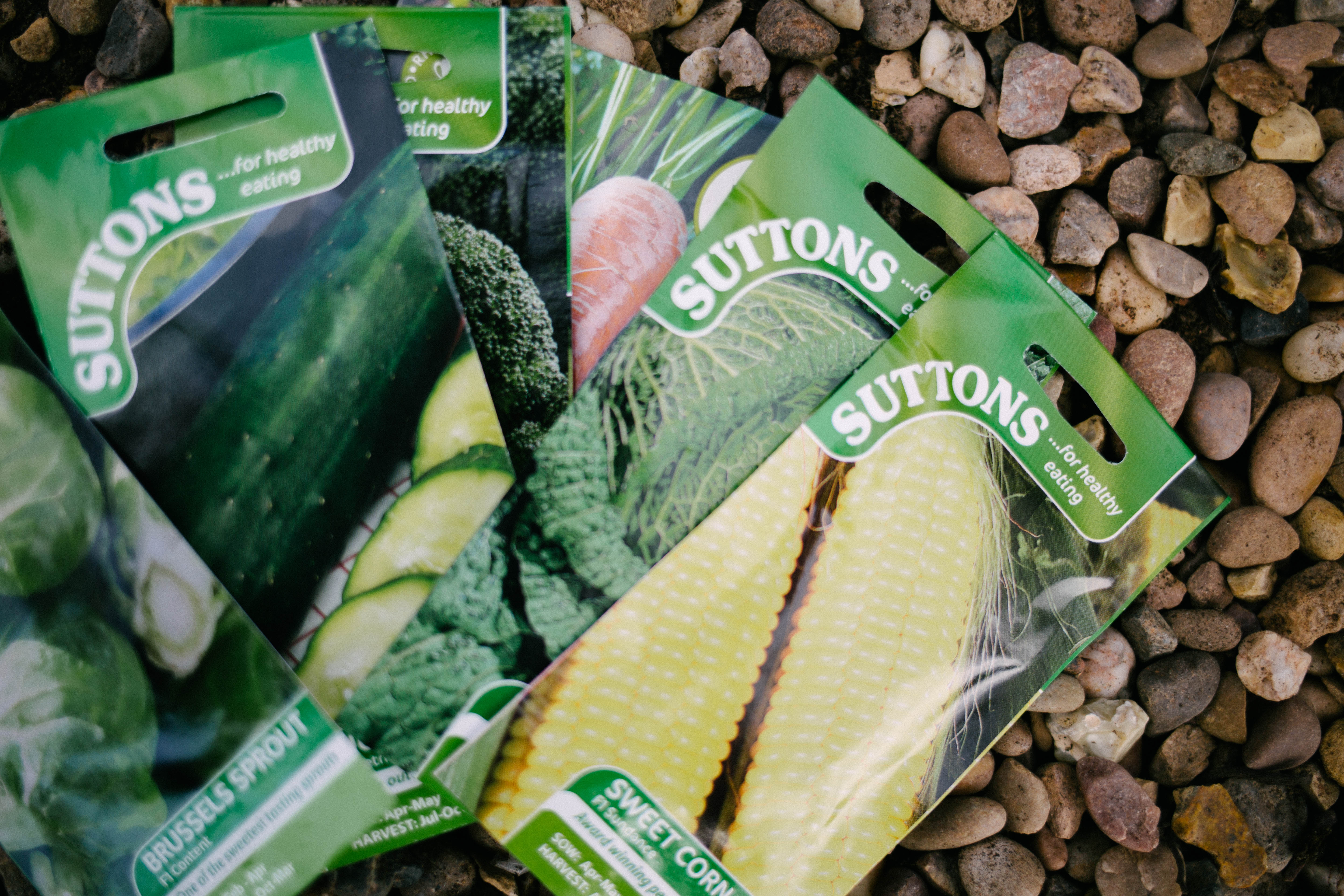 Seeds to sow in June