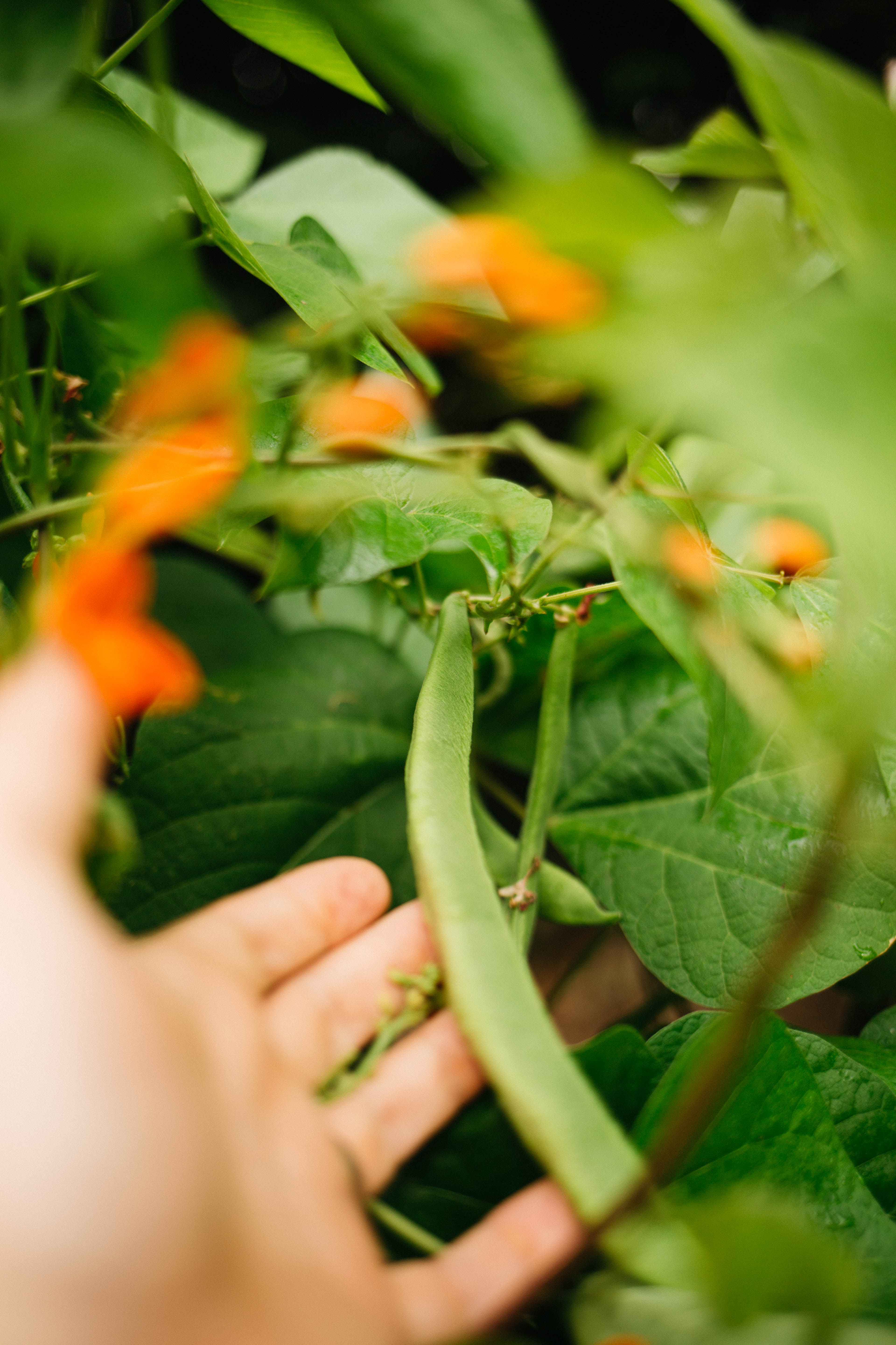 Summer Sun and Heatwaves
