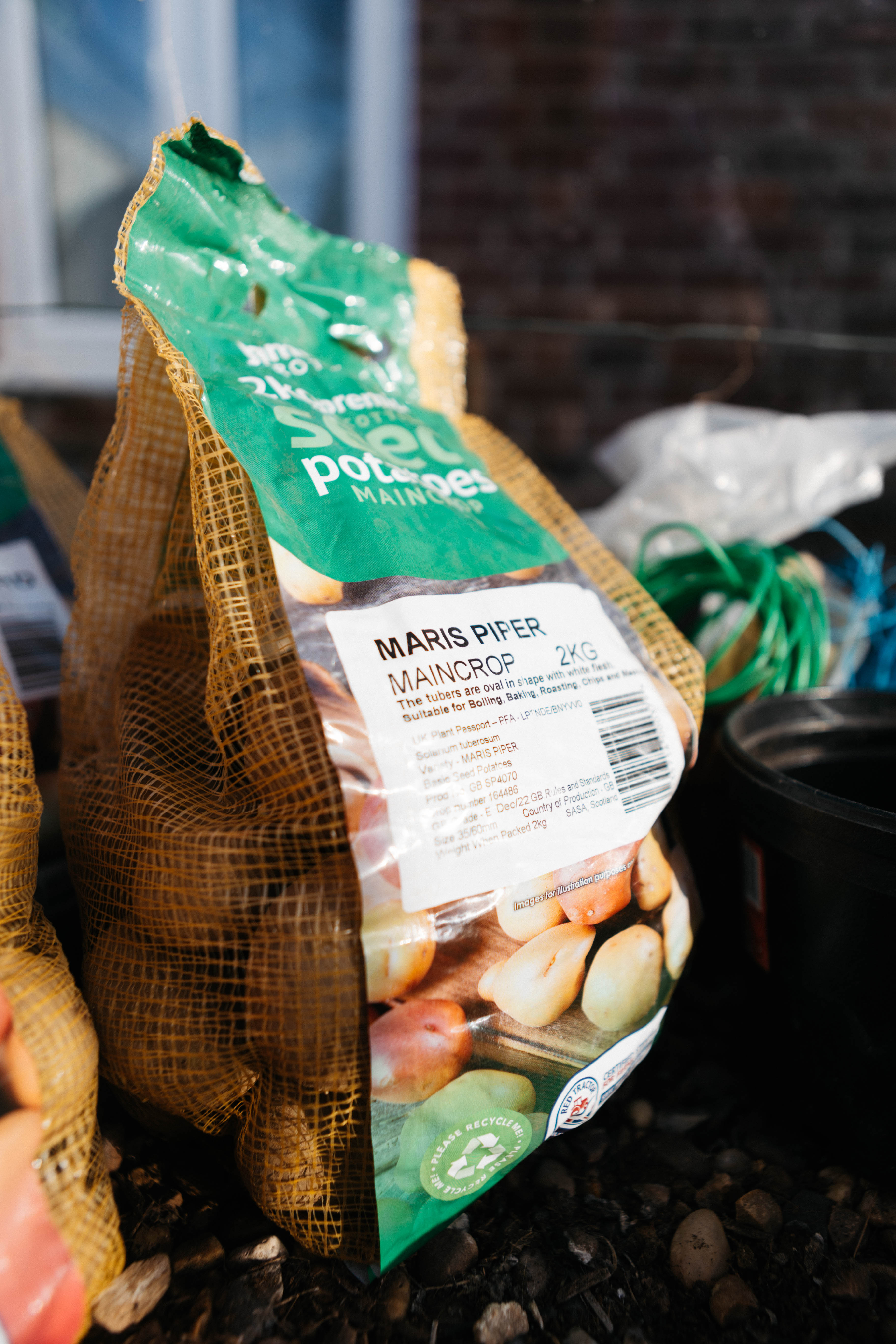 Buying and Chitting Seed Potatoes