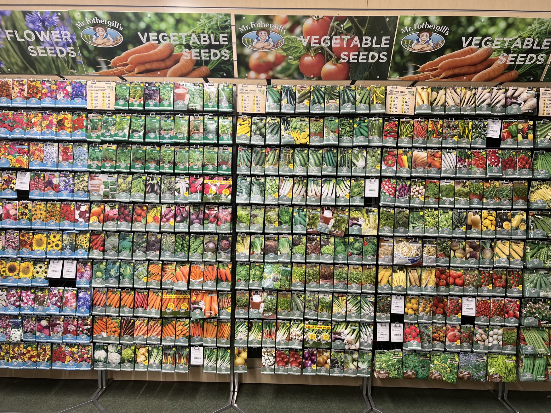 Top 5 Seeds to Sow in January for Successful Gardening