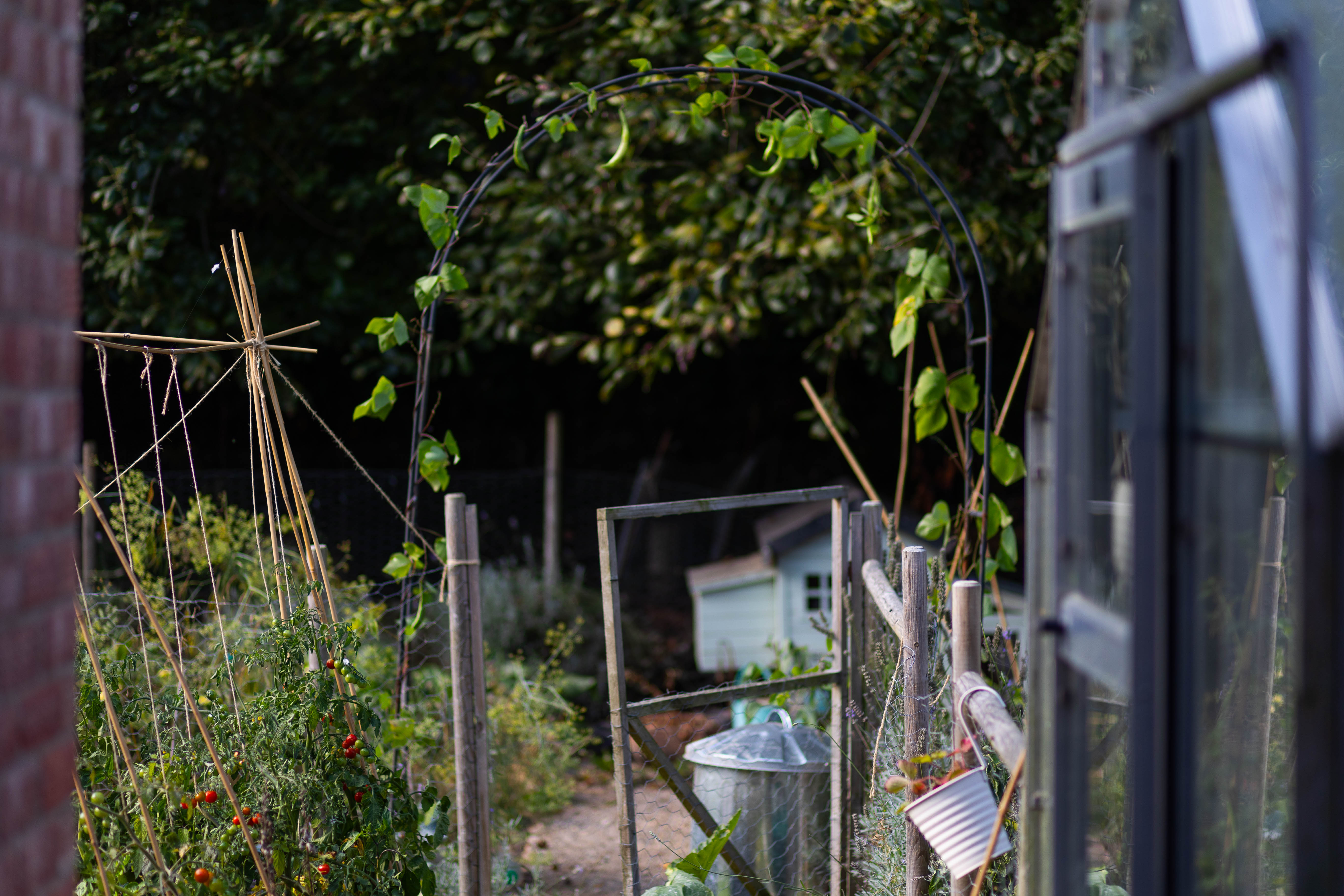 Essential September Vegetable Gardening: Harvest, Store, and Plant for Future Success