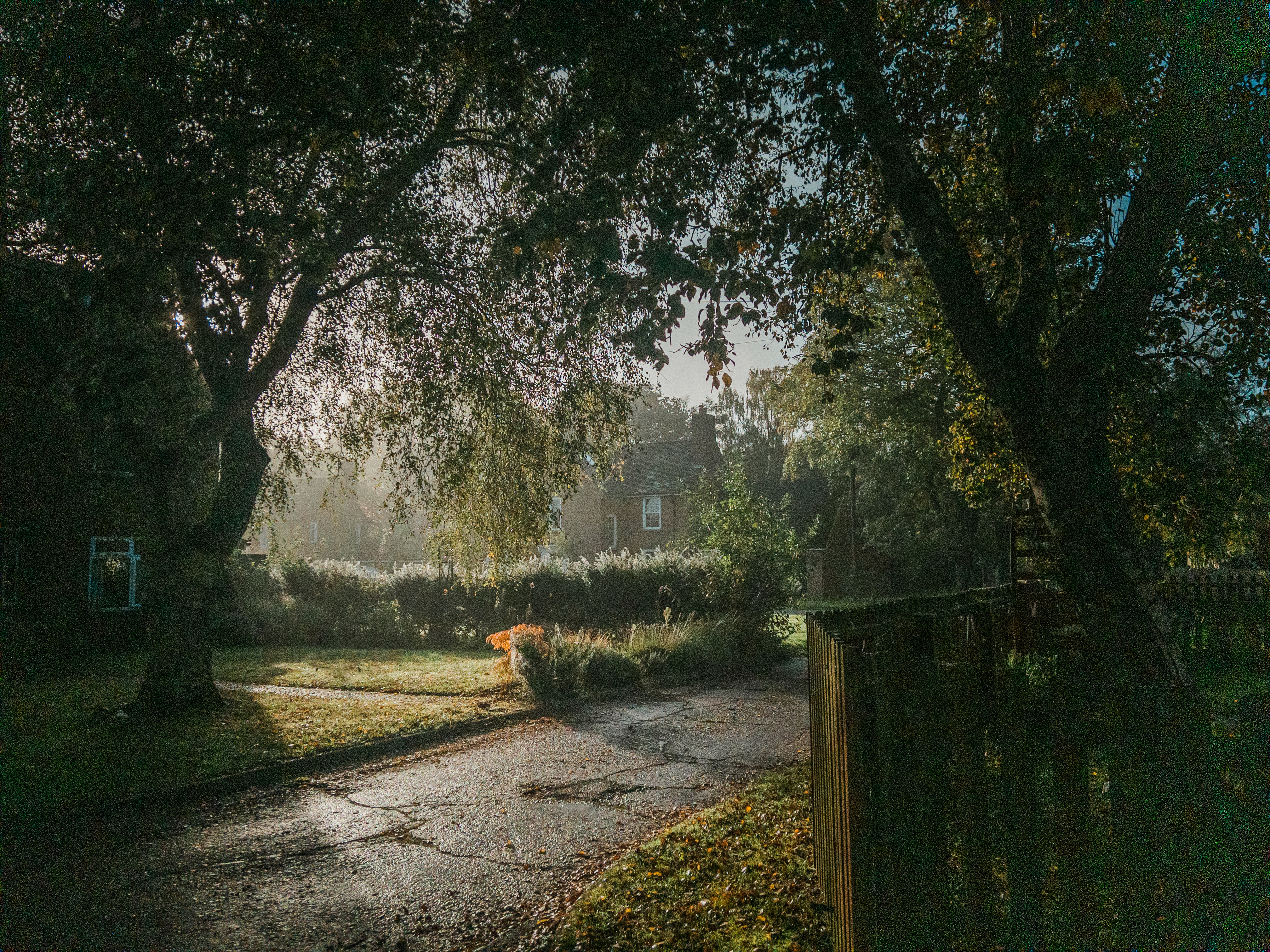 Essential Tips for October Vegetable Gardening