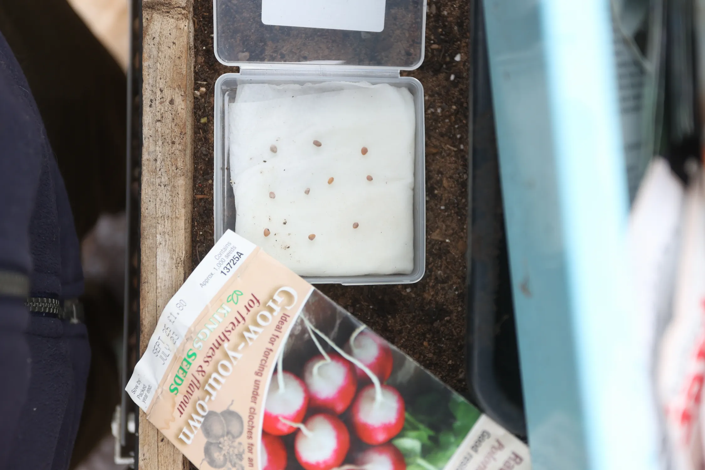 How to Test If Old Seeds Are Still Usable (UK Seed Viability Test for January–February)